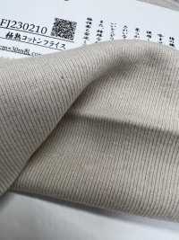 FJ230210 極為成熟的棉花針織羅紋[面料] Fujisaki Textile 更多照片