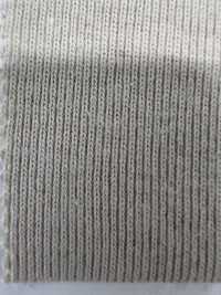 FJ230210 極為成熟的棉花針織羅紋[面料] Fujisaki Textile 更多照片