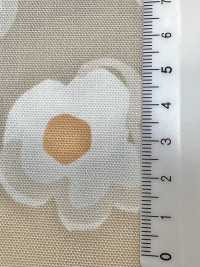 W8082 SEVENBERRY®牛津寬寬幅點[布料] VANCET 更多照片