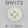SHV173 四孔有邊貝殼鈕扣