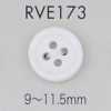 RVE173 四孔 有邊 貝殼鈕扣
