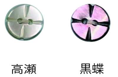 250 兩孔 無邊貝殼鈕扣