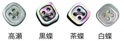 4004H 四眼 帶邊 貝殼鈕扣