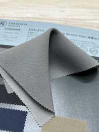 1038206F EVALET® 雙層編織 2Way Stretch Plain 減重版。[面料] 瀧定名古屋 更多照片