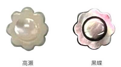 608 花型貝殼鈕扣