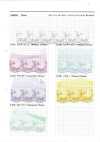 24905S 銀色亮片網紗公主色
