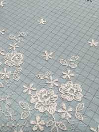T24371-T15 透明網紗刺繡蕾絲 協和蕾絲 更多照片