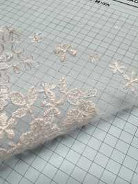 T24371-T15 透明網紗刺繡蕾絲 協和蕾絲 更多照片