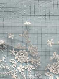 T24371-T15 透明網紗刺繡蕾絲 協和蕾絲 更多照片