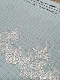 24389-T15 透明網紗刺繡蕾絲 協和蕾絲 更多照片