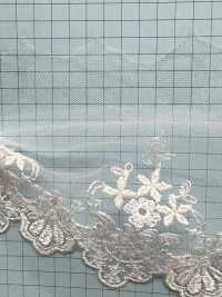 24389-T15 透明網紗刺繡蕾絲 協和蕾絲 更多照片