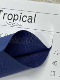 7100-BT 7100TROPICAL扁平包邊帶[緞帶/絲帶帶繩子] STAR BRAND 更多照片