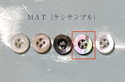 EX601MAT 四孔 帶邊 茶蝶貝鈕扣 霧面