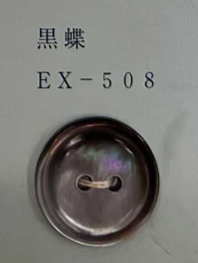 EX508 雙孔 帶邊 黑蝶貝殼鈕扣
