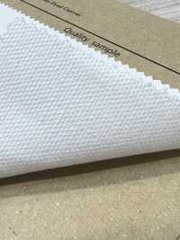 AD8310 8號帆布[布料] Cosmo Textile 更多照片