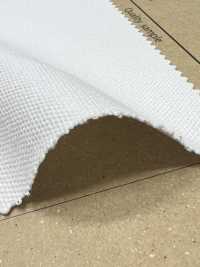 AD8310 8號帆布[布料] Cosmo Textile 更多照片