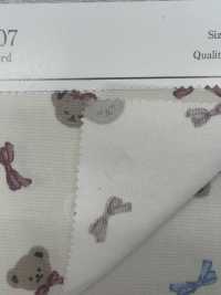 AP52207-DR 印花牛津布（對折）[布料] Cosmo Textile 更多照片