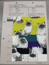 850537 SEVENBERRY® 未漂白牛津棉喜馬拉雅[布料] VANCET 更多照片