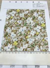 3026-650-3 60精紡細布[布料] HOKKOH北高 更多照片