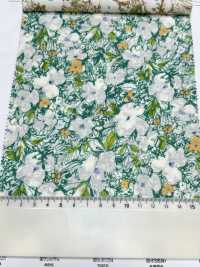 3026-650-3 60精紡細布[布料] HOKKOH北高 更多照片
