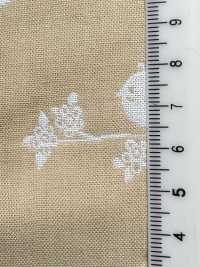 INDIA-465 雙層紗鳥[布料] 有延商店 更多照片