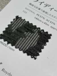 RYDEEN 雷丁[布料] SHINKO 更多照片