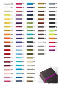 SB80F-B [鬆緊帶] Cordon 更多照片