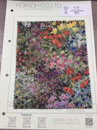 DP-7930-1 60精紡細布數位印花花田[布料] HOKKOH北高 更多照片