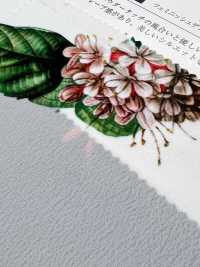 KDP1401-58-DD-783 80 % 高密度平織印花[布料] 小紋工房(宇仁纖維) 更多照片