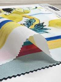 KDP2312SD-58-DD-241 雙縐寬幅噴墨列印[布料] 小紋工房(宇仁纖維) 更多照片