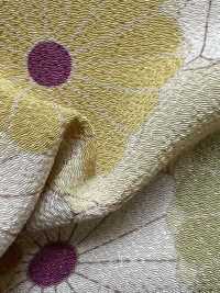 KKP2338-D-KIKUYUZEN 二子絲縐菊花友禪[布料] 小紋工房(宇仁纖維) 更多照片