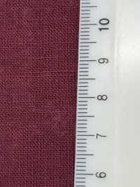 RN5061 精紡細布 Platt 亞麻布和和紙的空氣淨化[布料] 古山 更多照片