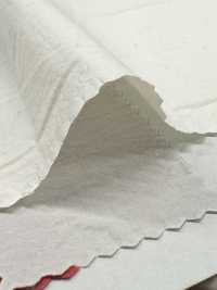 PSW7865 80/1 超高密度高密度平織棉染色素色紙[布料] 古山 更多照片