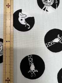 850567 平紋布 Dot[布料] VANCET 更多照片