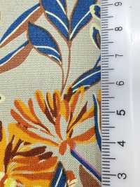 4250 SEVENBERRY®平紋布時尚放鬆/Puana[布料] VANCET 更多照片