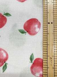 AP61111-DR 紫丁香夫人坯布（半折）[布料] Cosmo Textile 更多照片