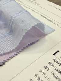 14367 60線Cocco 剪裁流蘇[布料] SUNWELL 三維爾 更多照片