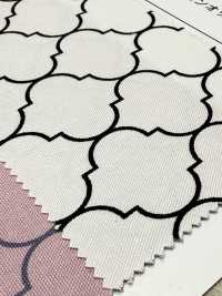 SP5500-DR 摩洛哥牛津（半折）[布料] Cosmo Textile 更多照片