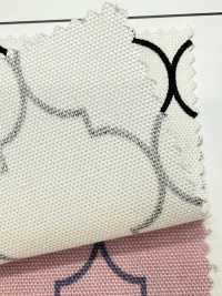 SP5500-DR 摩洛哥牛津（半折）[布料] Cosmo Textile 更多照片