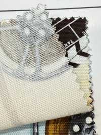 AP55201 Cinefabric Oxford（圓卷）[布料] Cosmo Textile 更多照片