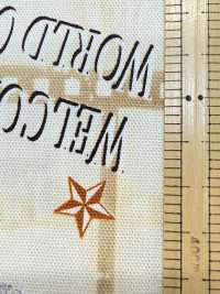 AP55201 Cinefabric Oxford（圓卷）[布料] Cosmo Textile 更多照片