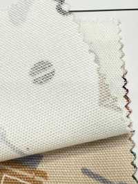 AP55110-DR 下午茶時間牛津（半折）[布料] Cosmo Textile 更多照片