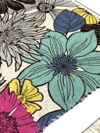 AP55803-DR C/L 花卉帆布（對折）[布料] Cosmo Textile 更多照片