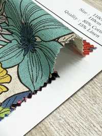 AP55803-DR C/L 花卉帆布（對折）[布料] Cosmo Textile 更多照片