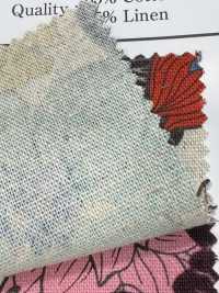 AP55803-DR C/L 花卉帆布（對折）[布料] Cosmo Textile 更多照片
