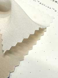 1830 Poly-Tencel™ 莫代爾纖維平紋布[布料] 桑村纖維 更多照片