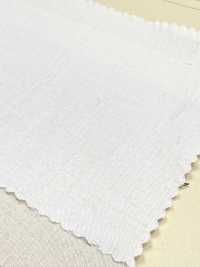 A-7039 日曬乾（曬乾）[布料] 有延商店 更多照片