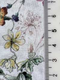 DP-5000-1 60精紡細布數位印花植物[布料] HOKKOH北高 更多照片