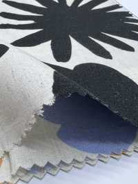 7026-720-1 CL 平紋布 Angel Soft Daihana[布料] HOKKOH北高 更多照片