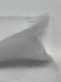 KWX30 [襯布] 更多照片